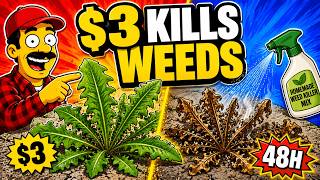 The Vinegar Weed Killer Trick Most People Get WRONG