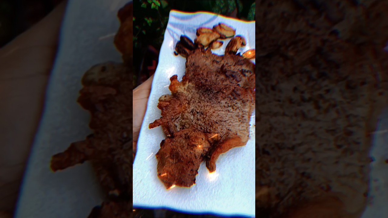 Beef Steak bisaya version cebufoodvlog fypyoutube foodblogger viral beefsteak LutoNiBalot