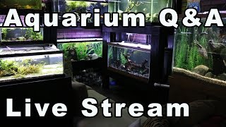 Aquarium Q&A Extravaganza: Bring Your Questions