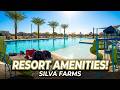 Silva Farms Goodyear AZ Tour 🏡🔒 Gated Community, Resort Pool &amp; $155 HOA!