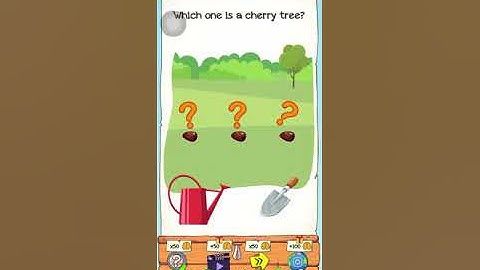 Braindom 2 level 81 walkthrough solution