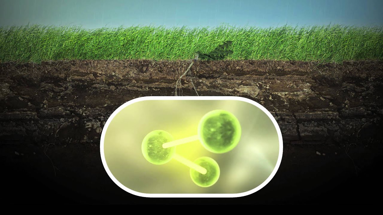 Organic Vs Non Organic Pesticides Is Organic Really Better For The organic-vs-non-organic-pesticides-is-organic-really-better-for-the
