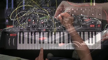 Moog Matriarch Deep Dive: (Patch 3)