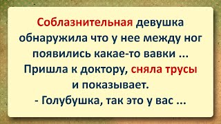 ⚜️ Сочная Девушка с Вавками между ног у Венеролога! Подборка Веселых Анекдотов! Юмор!