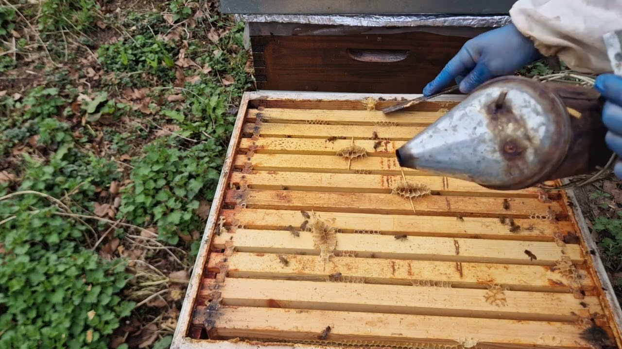 30.2023. Оптимальным решением является трёхчастичный MER.