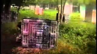 Web Dog Radio Roadtrip The I-94 Run Episode 6 Blitz & Fox River Games Gurnee & Millington, Il