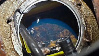 видео: Паджеро с медведями был близок, НО картинка: Паджеро с медведями был близок, НО