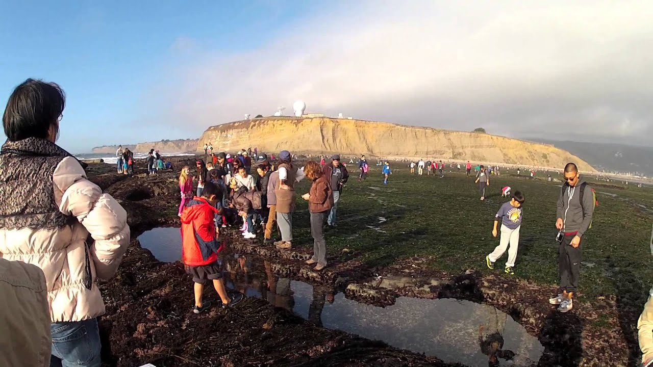 baby boomers birth years Negative Tide At The Mavericks California