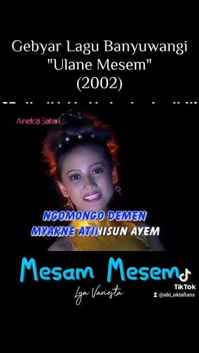 Mesam Mesem - Lya Variesta