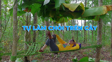 Thơ Ngáo Ngơ Bỏ Đi Tự Làm Nhà Lá Chuối Trên Cây