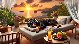 Relaxing Sunset Beach with Classical Piano Music and Waves ASMR with Rottweiler screenshot 5