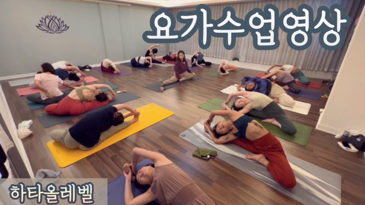 [엔젤요가] 요가수업영상 | 올레벨 | 할수 있는만큼 | 연습과 이욕 | 데일리요가 | 홈요가 | 랜선요가 - YouTube