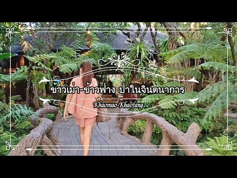 ร้านอาหาร เชียงใหม่ บรรยากาศดี ร้านข้าวเม่า-ข้าวฟ่าง  ป่าในจินตนาการ #เที่ยวเชียงใหม่  #黑森林餐厅