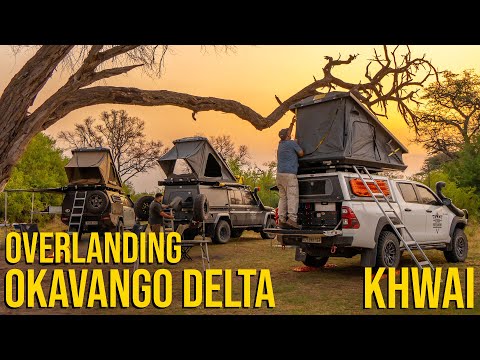 Video: Okavango Delta, Botswana: Den kompletta guiden