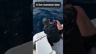 The Magic of Lure Fishing. #fishing #fish #fast