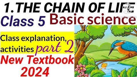 Class 5 New Basic Science Chapter 1 The Chain of Life Part 2 Explanation മലയാളത്തിൽ Activities|