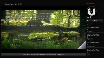 Shadow of the Colossus PS4 Remake: Speed Demon Trophy Run