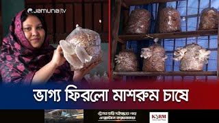 অল্প পুঁজিতে মাশরুম চাষে স্বাবলম্বী নারী উদ্যোক্তা | lalmonirhat Mashroom | Jamuna TV