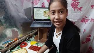 Teaching Demonstration about Preparing Cold Sandwich