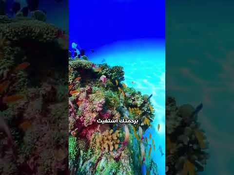 يا حي يا قيوم يا بديع السموات والأرض