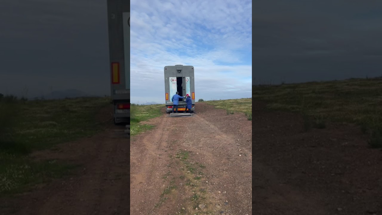 Solta Mértola - 07/03/2026 - Zona 3