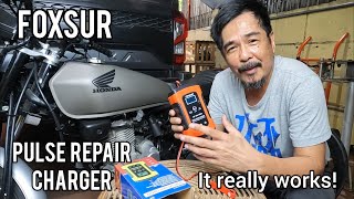 Foxsur Pulse Repair Charger | Actual Repair of a Dead Battery | Video 1 of 2