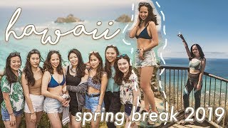 FIRST TIME DIVING! and lots of hikes | HAWAII SPRING BREAK 2019 PART ONE