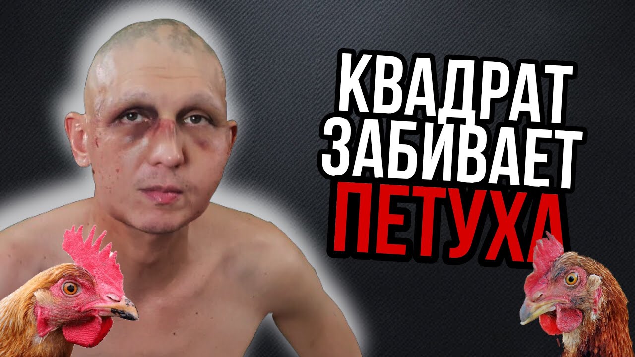 Богдан и бригада адрес