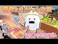 シークレットキャラ!農家たまごのゲット方法/育て方など #ひみつのおるすばんアップデート!