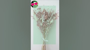 Ulala Idle Adventure  Get Unlimited Resources Free in Mobile 🤑🤑🤑