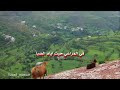 سوف تلقاني على خضر الربا ايوب طارش mp3