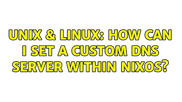 Unix & Linux: How can I set a custom DNS server within Nixos? (2 Solutions!!)