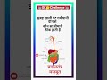 TOP 20 GK Question 🤔📚।। GK Question 📖✍️।। GK Question Answer #gkquestion