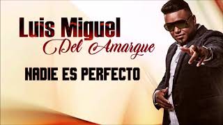 Luis Miguel del Amargue   Nadie Es Perfecto