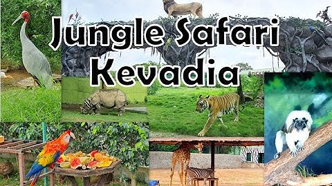 Jungle Safari - Kevadia - Statue of Unity