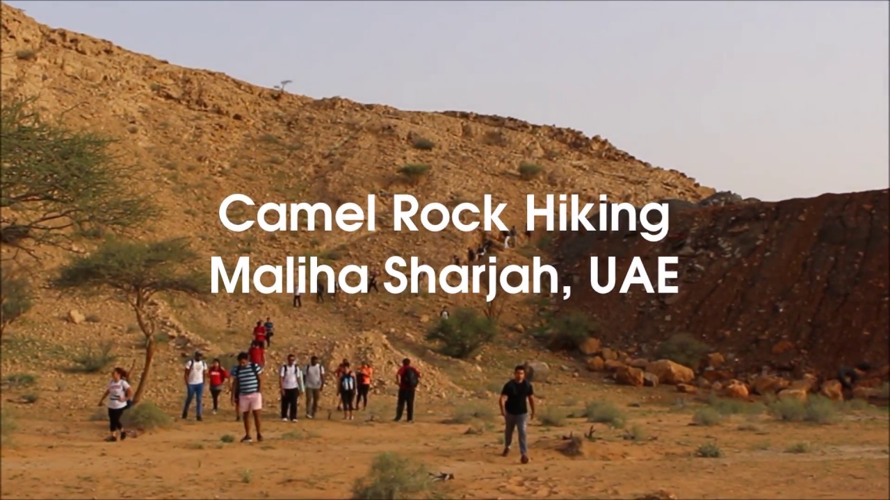 Fossil Rock Hiking - Maliha Sharjah, UAE