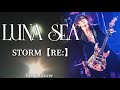 【LUNA SEA】STORM【RE:】/SUGIZOパート【弾いてみた】