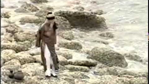 Lòng Dạ Đàn Bà - Cua Đực Cua Cái