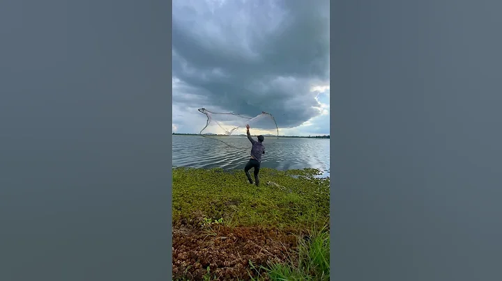 Fishing with Huge Squid as Bait to Catch Something Bigger #hug #squidgame #fishspecies #fishing