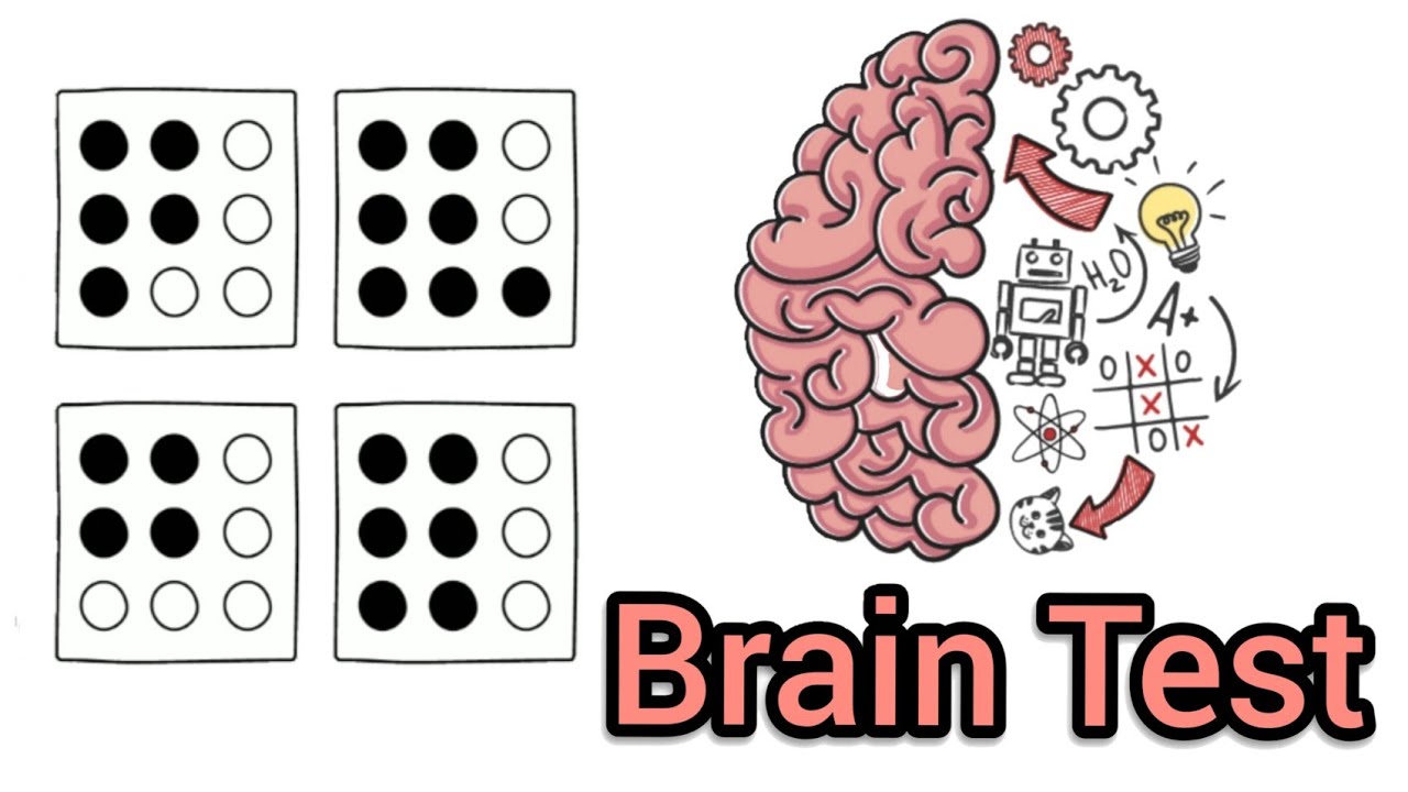 Brain 282