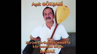 Dadaloğlunun Torunu Aşık Gökşani̇