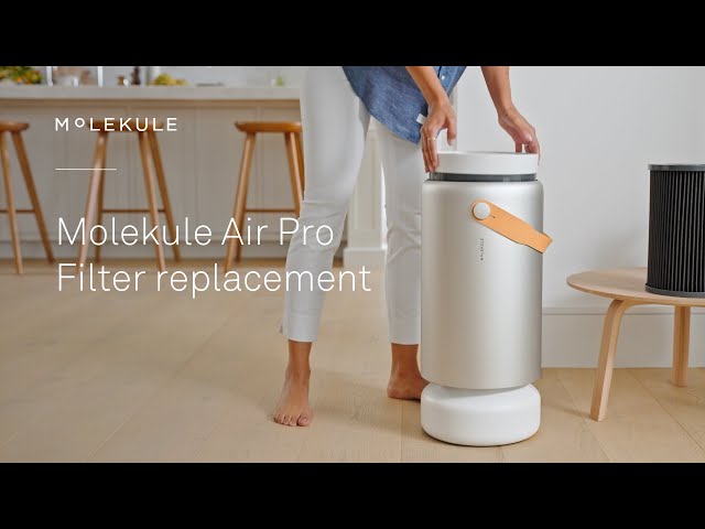 UV-Light Air Purifier: What Is It & How Does It Work? - Molekule