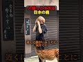 人懐っこすぎる日本の鹿