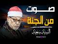 اسمع كدا سورة النحل بصوت الشيخ السيد سعيد والله الله يفتح عليك يا شيخ