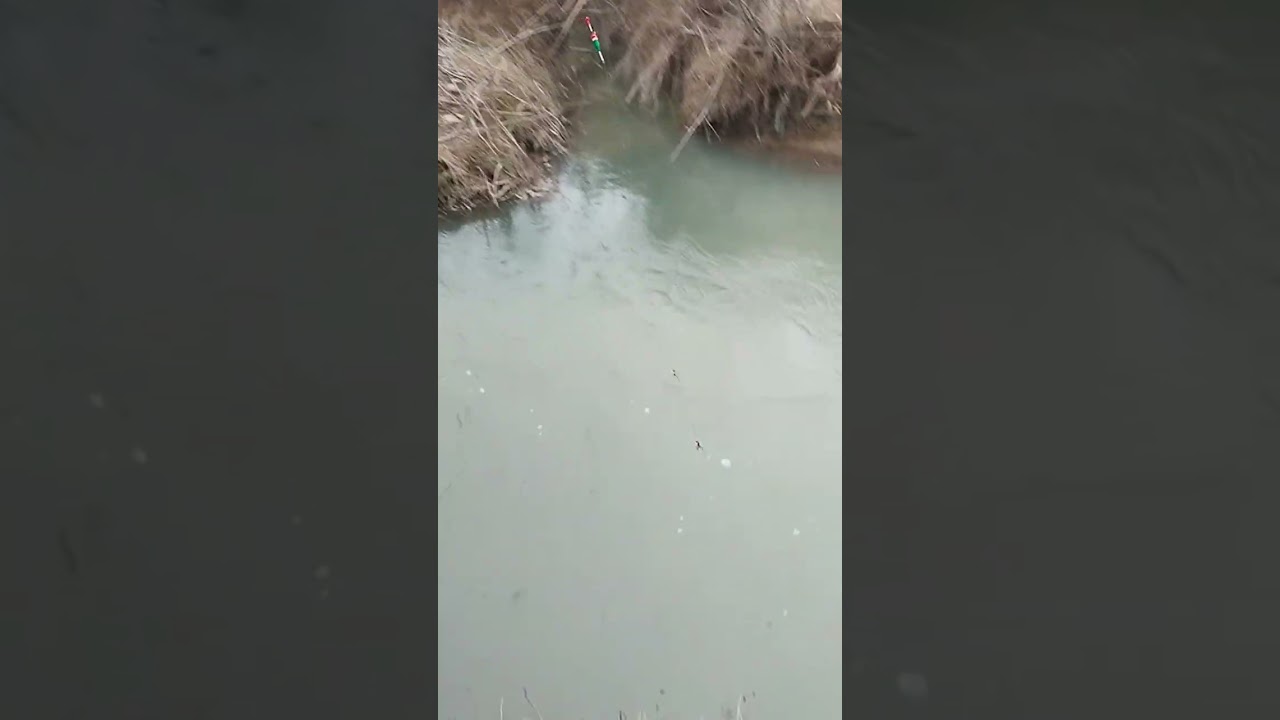 Маринка карас ови яахши булди 