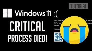 Critical Process Died Blue Screen Error in Windows 11 Unable to Boot FIX [2025]