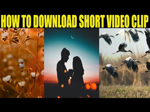 HOW TO DOWNLOAD SHORT VIDEO CLIP FROM YOUTUBE🔥🔥@dpeshyt6349 - YouTube