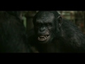 Planet of the apes: Koba - Animal I have become MV