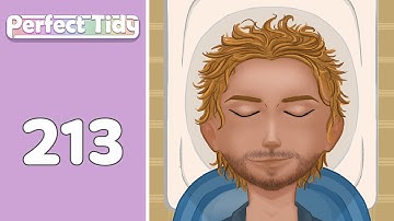 Perfect Tidy Level 213
