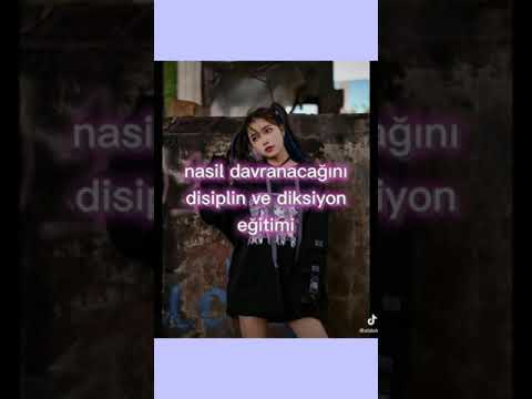 Stajyerken hangi eğtimleri